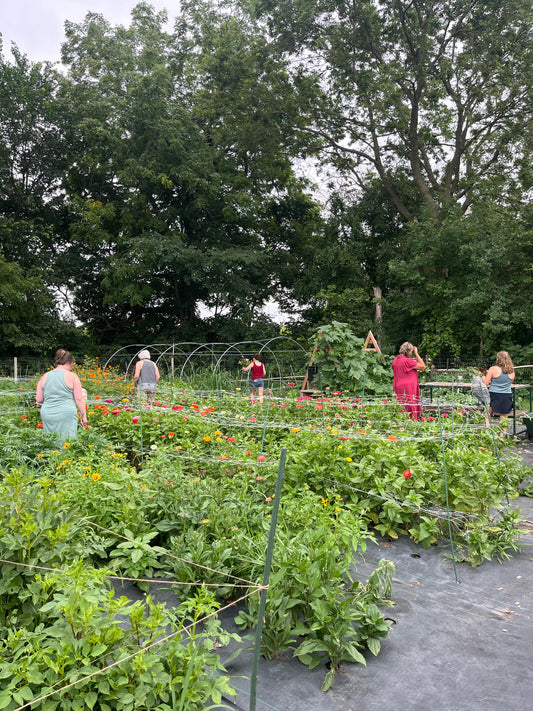 You Pick & Floral Arranging Event - September