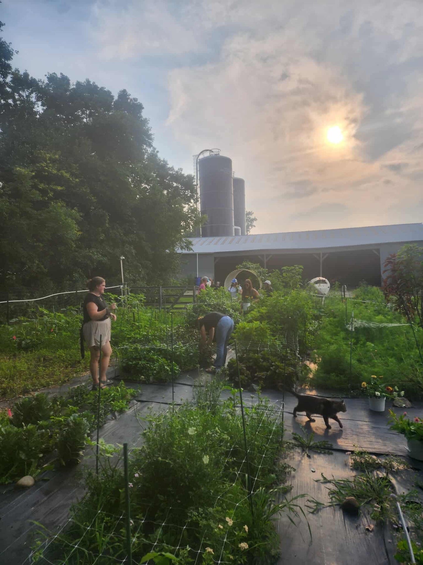 You Pick & Arranging Event - September