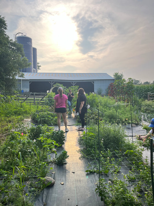 You Pick & Arranging Event - September