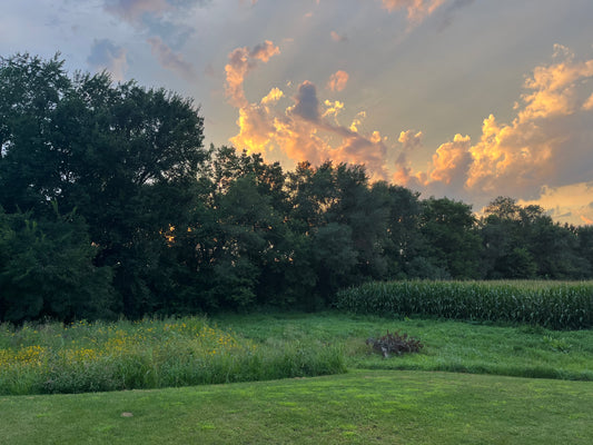 Yoga Class & You Pick