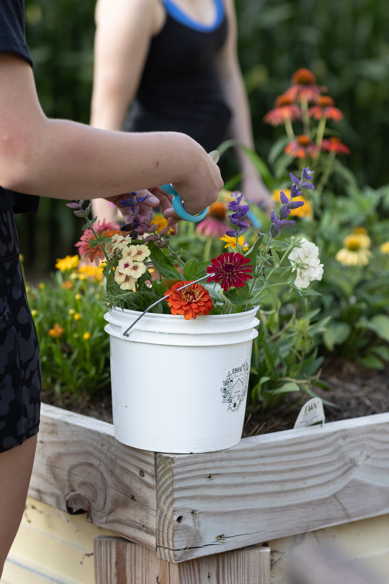 You Pick & Floral Arranging Event - September